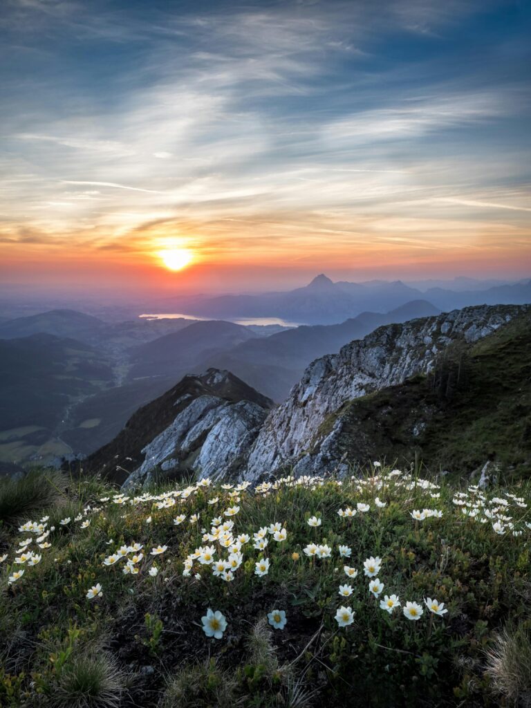 pexels-photo-1266810-1266810 A stunning sunrise view over a rocky mountain landscape with wildflowers in bloom.